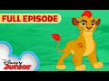 Lion Guard Character Insights and Themes