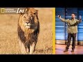 Animal Behavior and Filmmaking Techniques