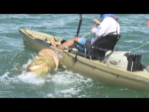 Shocking Fishing Goliath Grouper Kayak? Real Or Fake? Inshore Fishing By Hand Fort Myers Florida