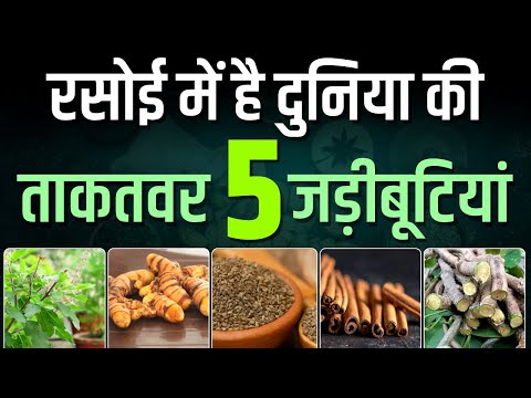 रसोई में है दुनिया की ताकतवर 5 जड़ीबूटियां | Best Ayurvedic Medicine for Kidney | Karma Ayurveda