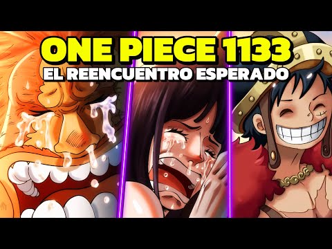 ONE PIECE 1133 - ¡POR FIN! EL REENCUENTRO DE ROBIN Y SAUL