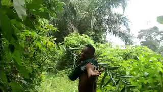 Benji Rockson Ft (Mabr3) Official Video Maker.-prod.ROCK NATION EMPIRE music.com(www.benjirockson...