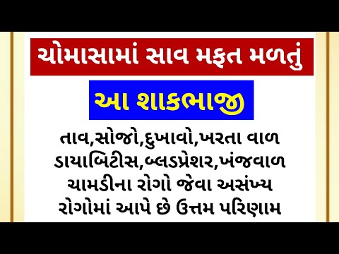 ચોમાસામાં સાવ મફત મળતું આ ઔષધિય શાક છે ગુણોથી ભરપૂર,કંટોલાનું શાક,kantola, kankoda