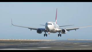Livestream at Wellington airport with Kev