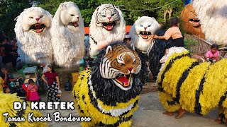 CAN MACANAN DAN DRUMBAND SINGO MANGGALA DI KRETEK TAMAN KROCOK BONDOWOSO