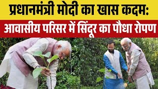 PM Modi का खास कदम: आवासीय परिसर में सिंदूर का पौधा रोपण | Breaking News | Plantation News