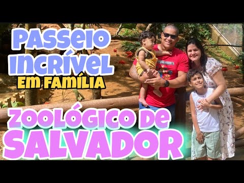 FIZEMOS UM PASSEIO INCRÍVEL E MARAVILHOSO - PRIMEIRA VEZ DO MEU FILHO NO ZOOLÓGICO DE SALVADOR BAHIA