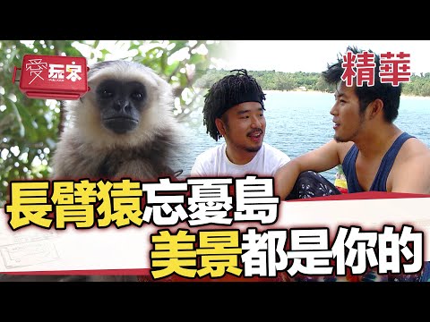 西港各式島嶼任你跳不停 碧海藍天臂猿忘憂島【週一愛玩客】自由發揮精華｜20120507