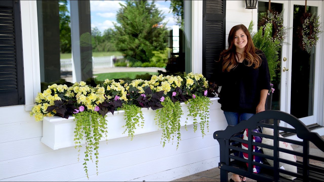 Gorgeous Shade Arrangement in Window Boxes