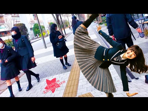 Tachikawa walk 🐶 Tokyo Digest 💖 Non-stop 1 hour 4K