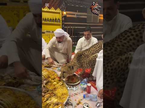 عندما تجمع الصدفة بين الإنسان والحيوان #غرائب #عجائب #حيوانات #طبيعة #برية #غموض #animals #shorts