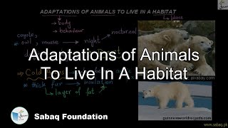 Adaptations of Animals to Live in a Habitat