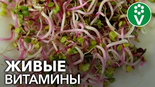 видео