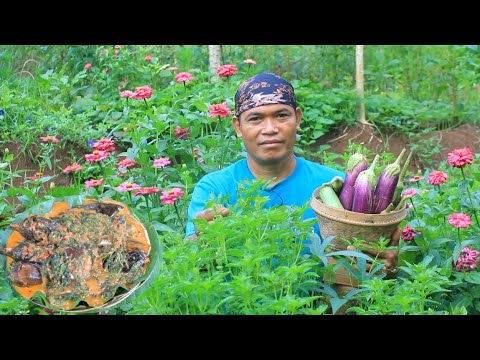 Terong bakar bumbu pecak santan daun kemangi petik diladang saat hujan