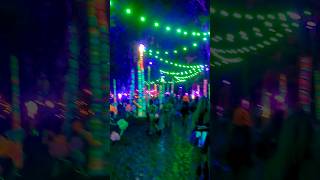 EXPLORING THE NEON FOREST AT ELEMENTS FESTIVAL