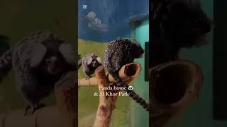 best places to visit in qatar 🇶🇦
