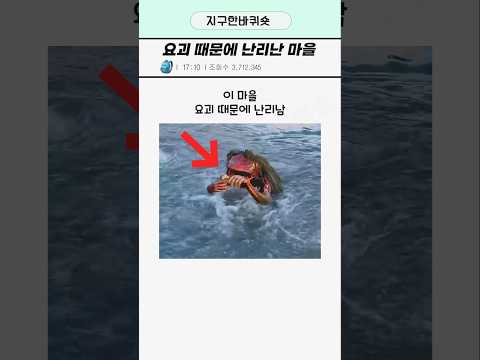 요괴때문에 난리난 마을