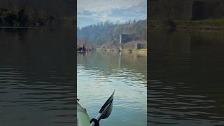 Absolute Ruhe #packraft … #shorts #outdoors #nature #hiking #lahn #wanderlust #river #heimat