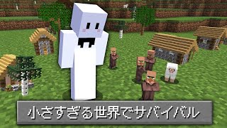 全てが1/10サイズになった世界でサバイバル【マインクラフト】