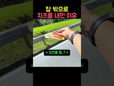 창 밖으로 치즈를 내미 이유