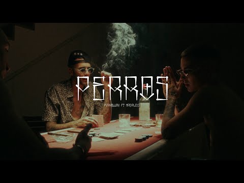 FYAHBWOY ❌ NADAL015 - PERROS
