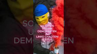 AFD-Parteitag linke Kampagne dilettantisch gescheitert Antifa Protest implodiert