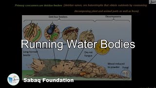 Running Water Bodies