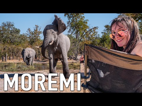 Is An Okavango Delta Safari in Moremi, Botswana Worth It?