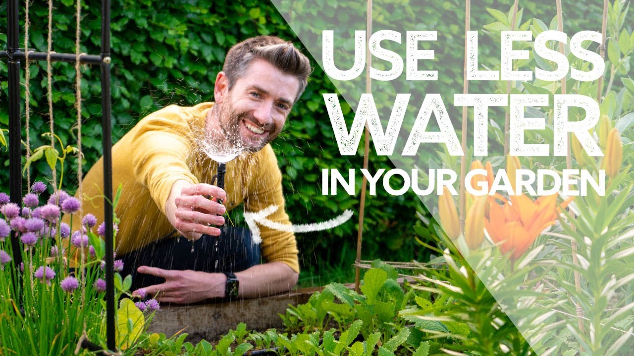 How to Save Water in Your Garden | My 8 Top Irrigation System Tips | Hozelock Automatic Watering