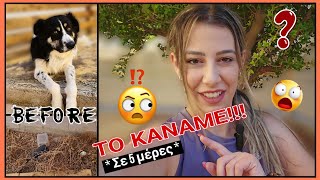 Δεν θα πιστέψεις τι έκανα στον κήπο μου σε 5 μέρες 😱 | Annie Charalampous