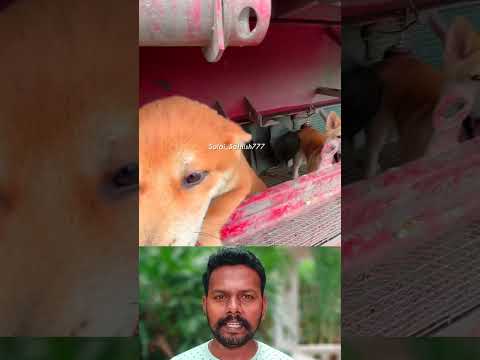வேற லெவல் சூப்பர் ஐடியா👌👌👌