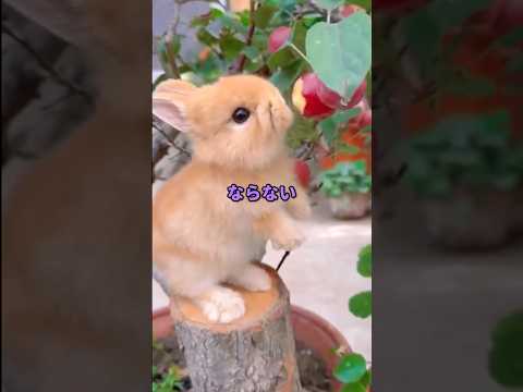 電話越しの陽だまり