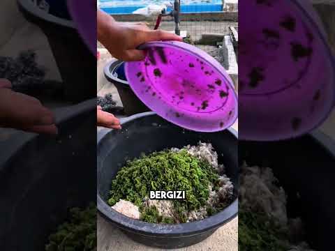 Pemanfaatan Telur Gagal Menetas untuk Produksi Pakan Bebek