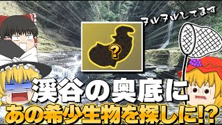 【幻！？】3前万年前から姿を変えていない幻の生き物を見つけに！？【近畿編-三重県】【ゆっくりサクッとバイク旅】