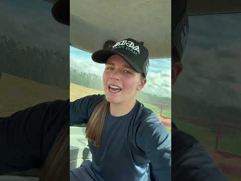 Amanda no volante