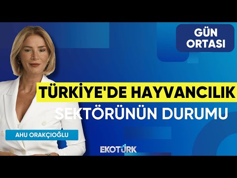 Türkiye'de Hayvancılık Sektörünün Durumu | Gün Ortası | Murat Bolat | Emrah İnce | Ahu Orakçıoğlu