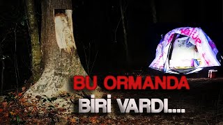 Ormanın İçinden Gelen Sesler… Gerçek Olamayacak Kadar Karanlıktı