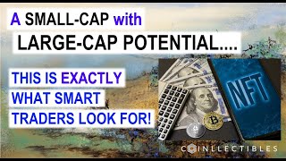 Let Me Show You EXACTLY What I Look for When I Invest in a Small-Cap Company!