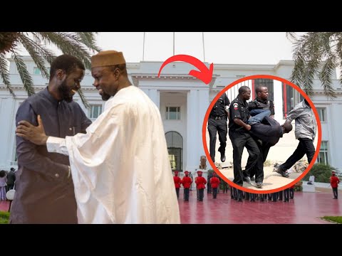 Ndeysane Dioubo " Après Grave Tension entre Diomaye Faye et Ousmane Sonko au...