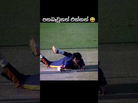 ඒකට නම් රෙස්පෙක්ට්😅💗#shorts#cricket#ytshorts