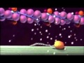 Muscle Contraction Mechanisms