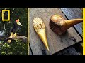 Helmeted Hornbill Conservation and Culture