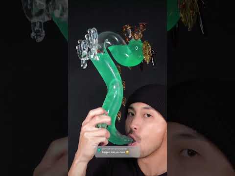 Gatorade🐉 #asmr #sleep