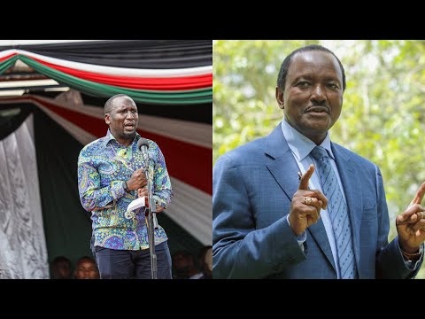 ''KALONZO HAJUI TOFAUTI YA NG'OMBE NA FISI, ANAPIGA KELELE TU,'' SENATOR CHERUIYOT ATTACKS KALONZO