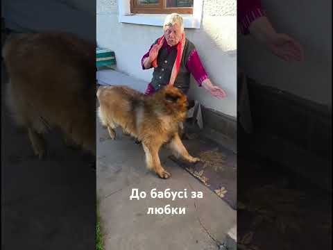 Слухняний хлопчик