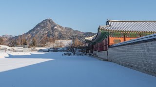 Snowy Morning Walk in Gyeongbokgung Palace, Seoul ❄️ | ASMR Walking Tour