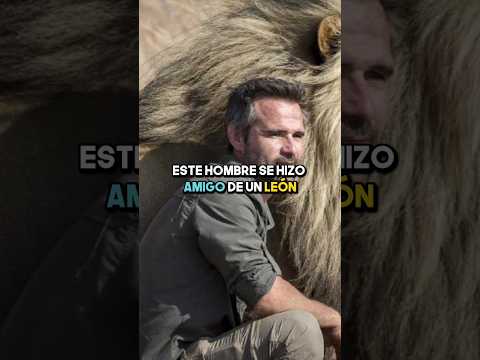 Se hizo amigo de un Le贸n?