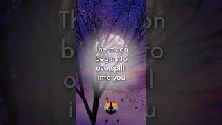Receive This Full Moon Activation #shorts #shortmeditation #fullmoon #thepsychicsoul