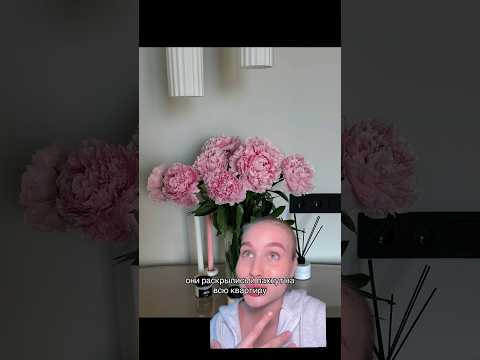 САМЫЙ ЛУЧШИЙ СЮРПРИЗ 💓 #история
