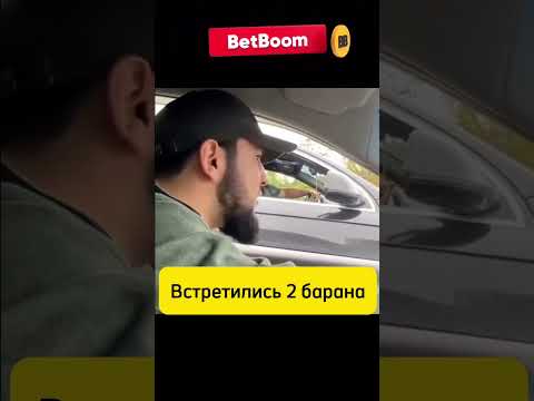 Встретились 2 барана на дороге